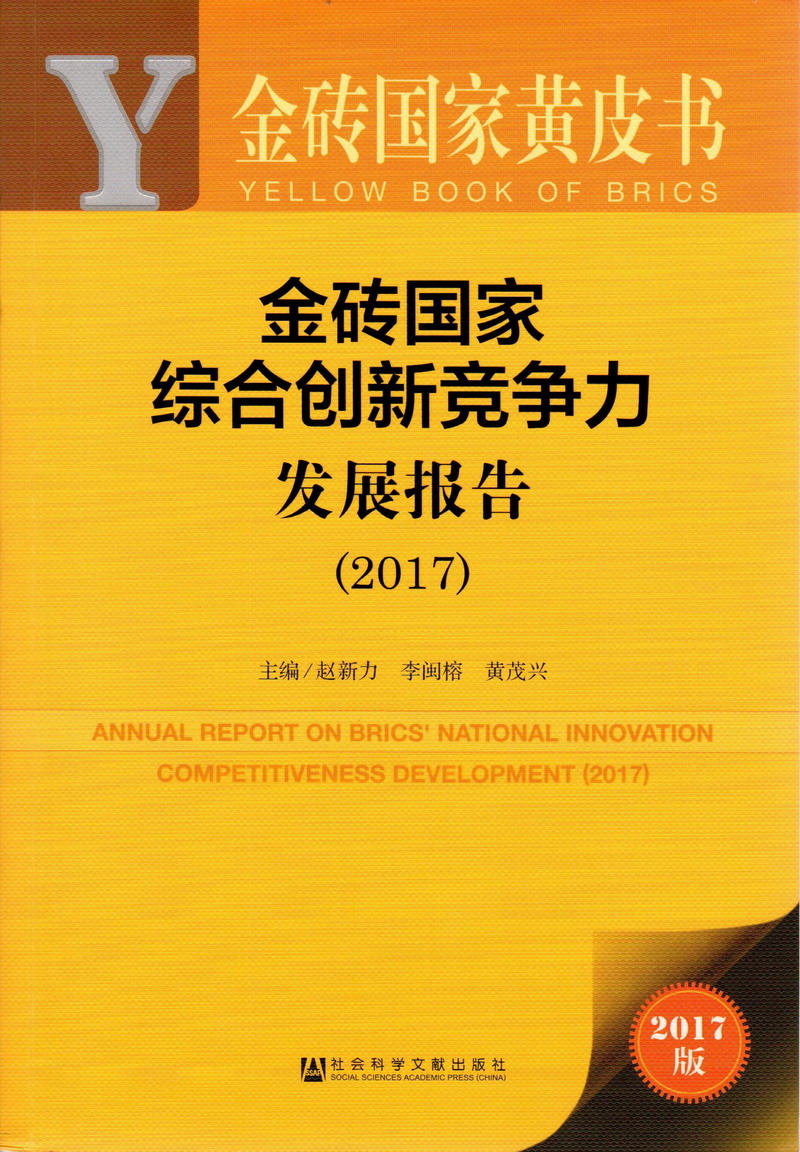 看操比的金砖国家综合创新竞争力发展报告（2017）